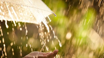 20190710 RW-LF PHO 282