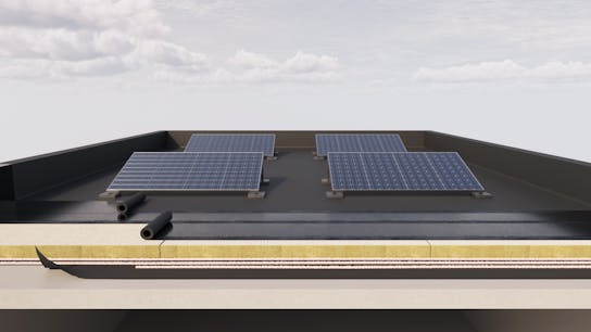 20240521 RW-LAT ILLUS 479