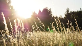 20210209_RW-RF_PHO_007766