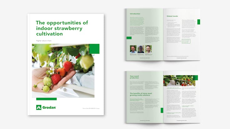 Strawberry whitepaper mock-up