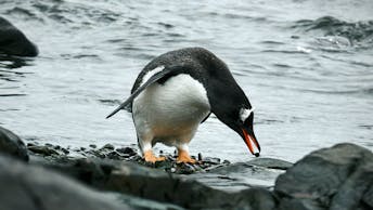 20231123 RW-CWE PHO 1615