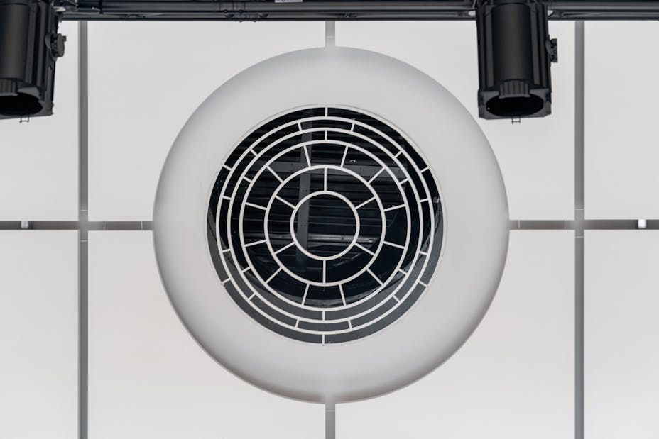 20240206 RW-RF PHO 10098