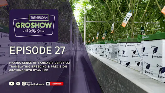 GroShow Episode 27 - Mockup