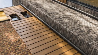 20210319 RW-RP PHO 01490