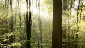 20180111 RW-NC PHO 359