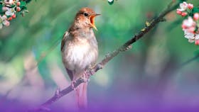 20230627 RW-CWE PHO 1561