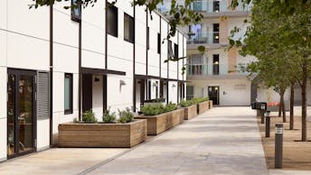 20250924 RW-RP PHO 3647