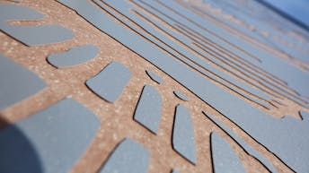 20210127 RW-RP PHO 01456