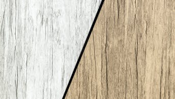 20220630 RW-RP PHO 2062