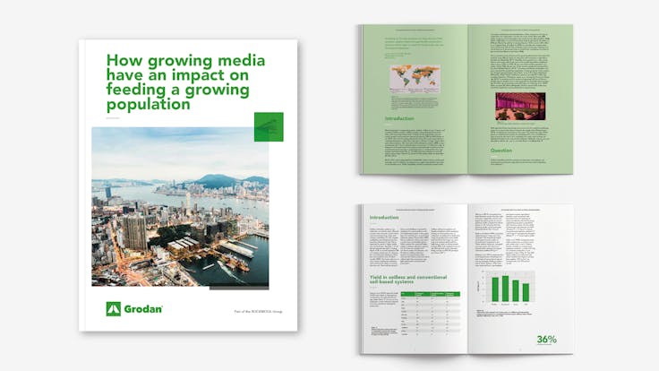 Visual, report, sustainability