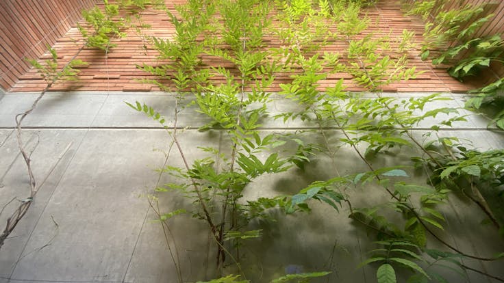 Casa Margarita, Calatayud, Zaragoza, Sergio Sebastian, Aragón, ROCKWOOL