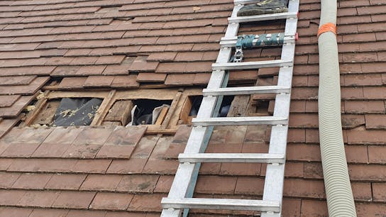 20250919 RW-LAT PHO 3772