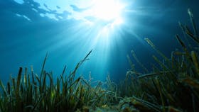 20220511 RW-GMC PHO 1532