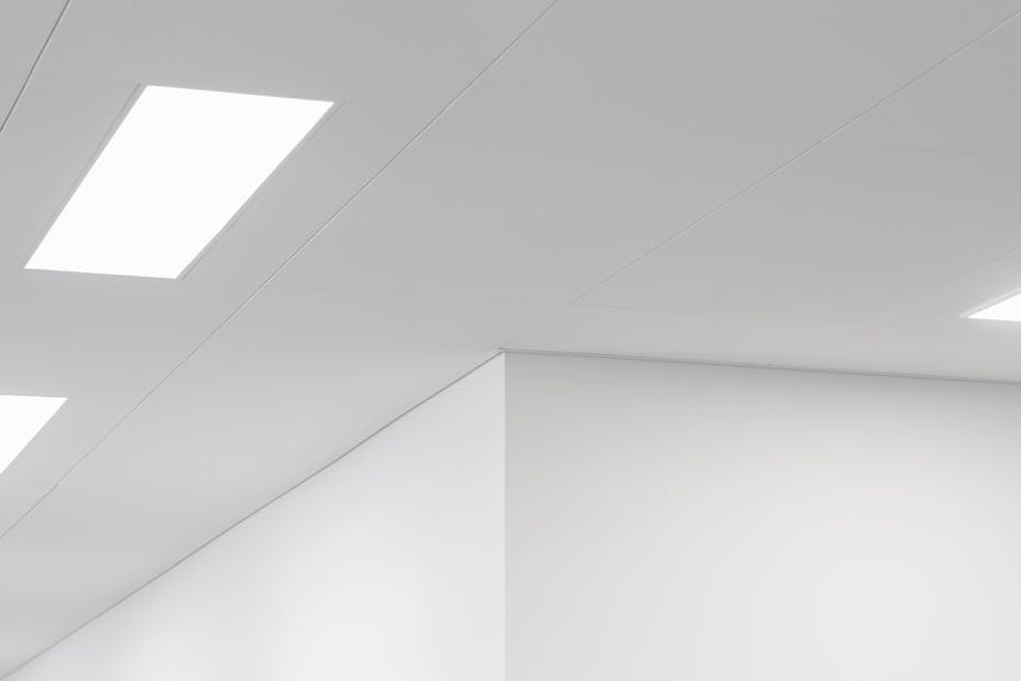 20200807 RW-RF PHO 007330