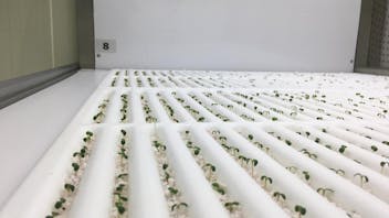 20200406 GR PHO 5139