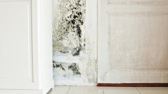 20190708 RWNA PHO 961