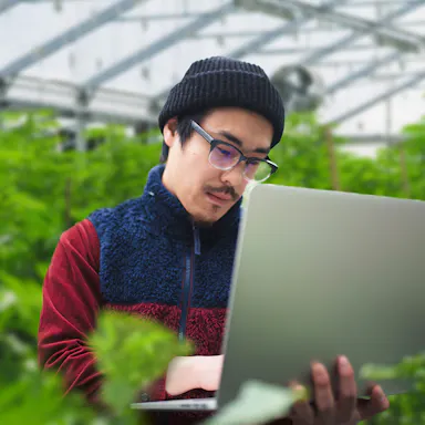 Using a computer a grow t check data