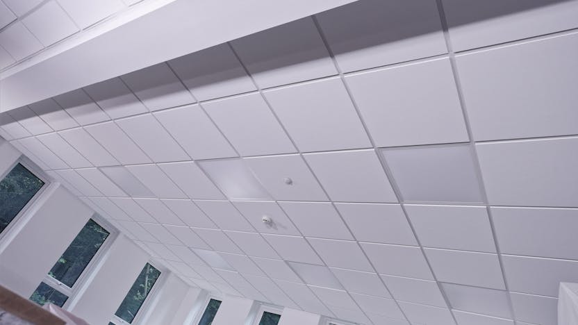 20201103 RW-RF PHO 007116