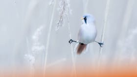 20231123 RW-CWE PHO 1613