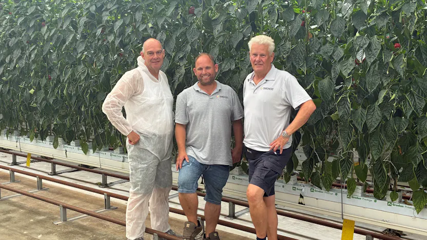 Tangmere UK pepper grower