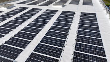 20241126 RW-LAT PHO 3336