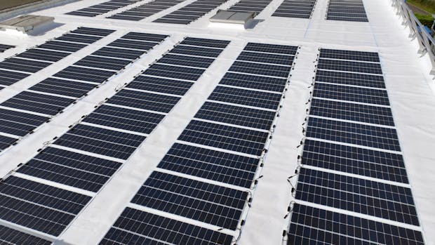 20241126 RW-LAT PHO 3336