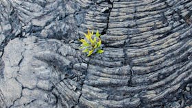 20220928 ByNature PHO 3