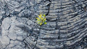 20220928 ByNature PHO 3