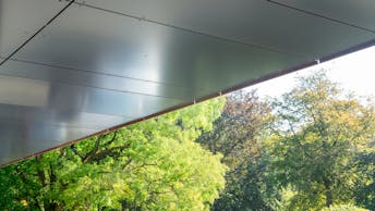 20241204 RW-RP PHO 3151