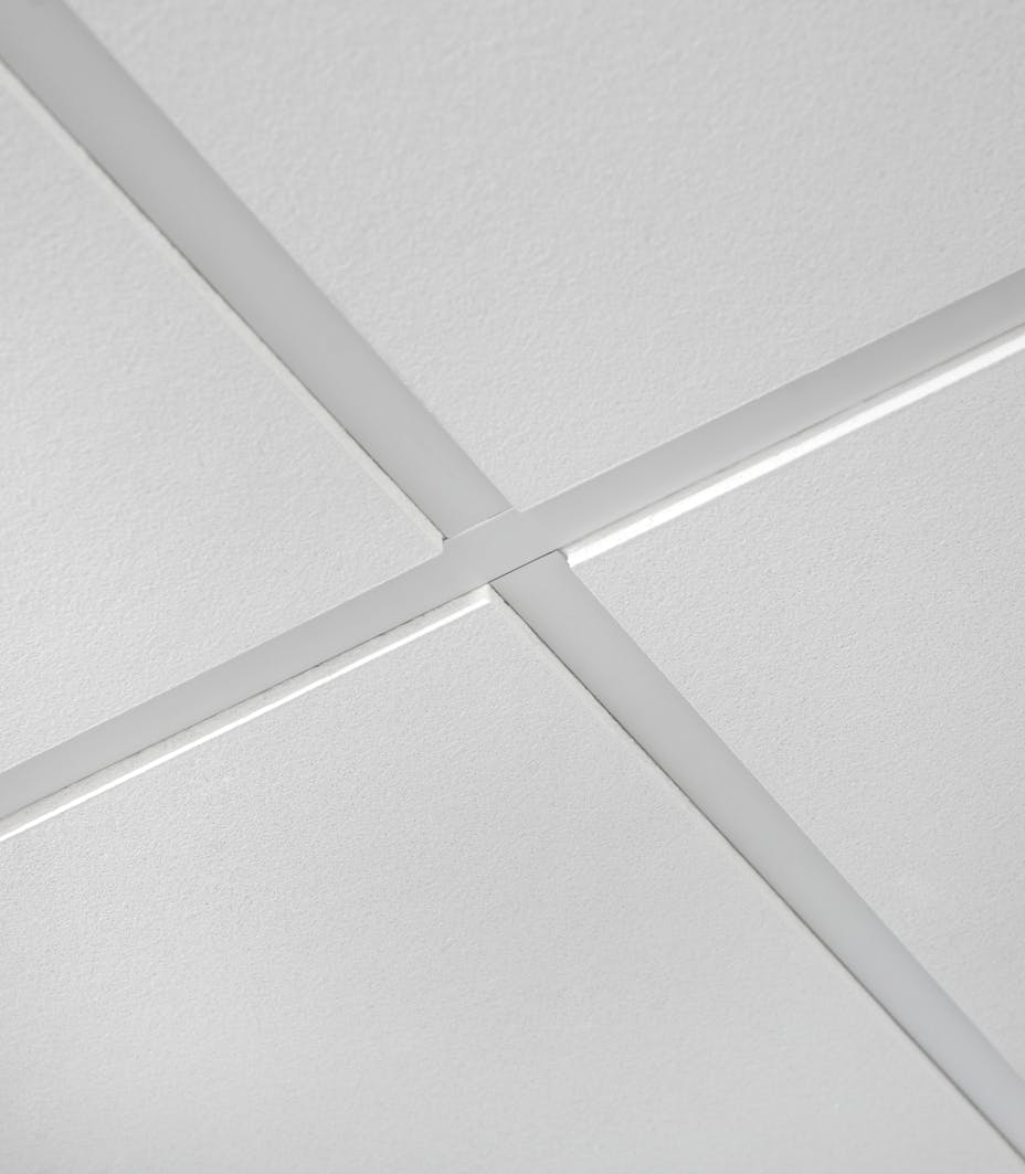 20130226_RW-RF_PHO_001707