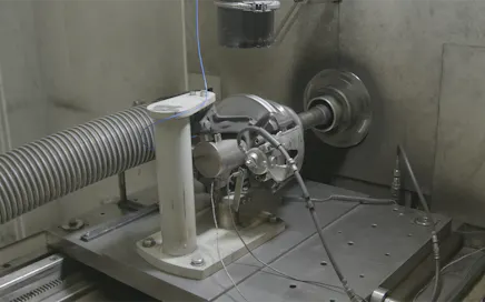 Functioning mechanism of white mineral fibres
