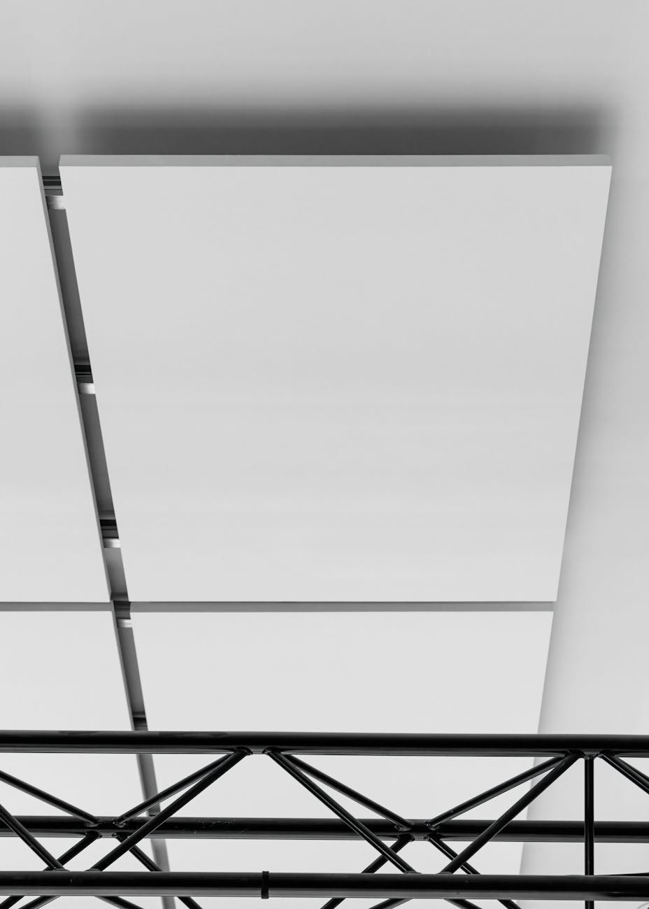 20240206 RW-RF PHO 10095