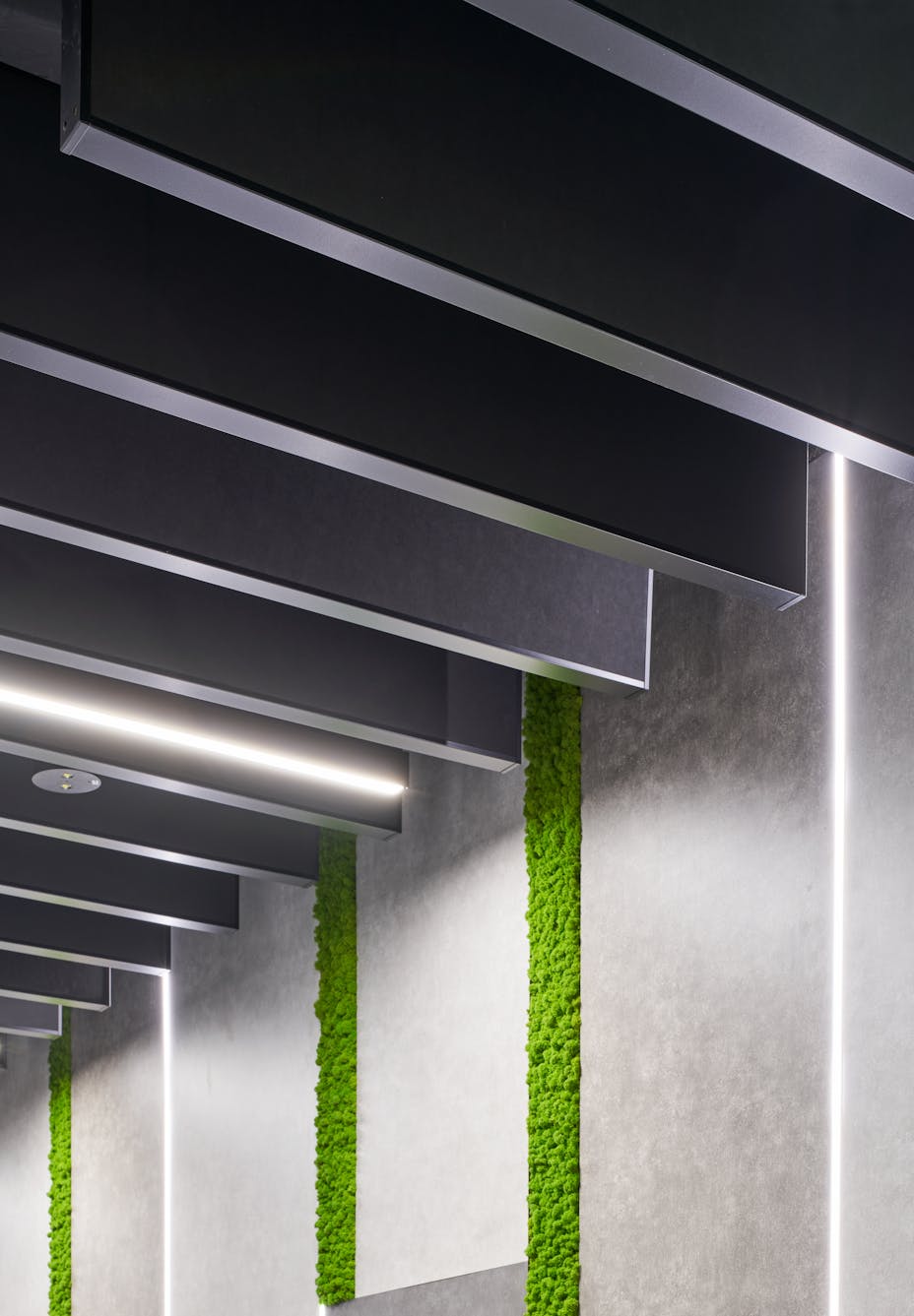 20230927 RW-RF PHO 9688