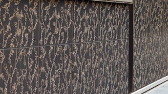 20250924 RW-RP PHO 3646