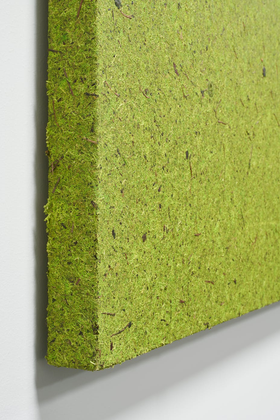 20220826_RW-RF_PHO_008720