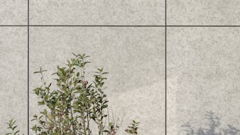 20241114 RW-RP PHO 3127