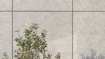 20241114 RW-RP PHO 3127