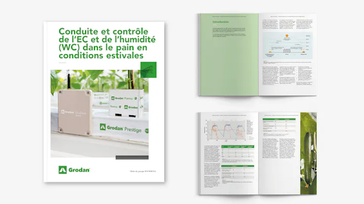 whitepaper, visual, mockup, EC, WC, Steering, Control, FR