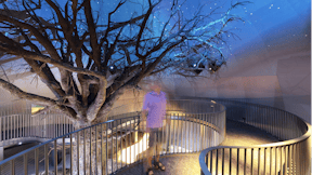 20200901 RW-RF PHO 007378