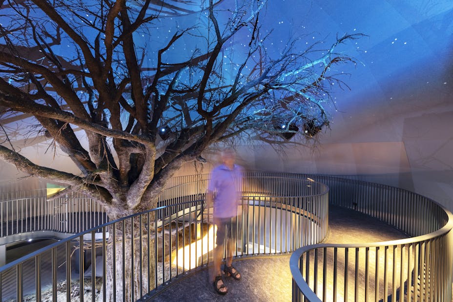 20200901 RW-RF PHO 007378