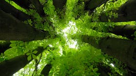 20200820 RW-RF PHO 007352