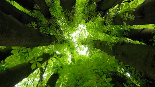 20200820 RW-RF PHO 007352