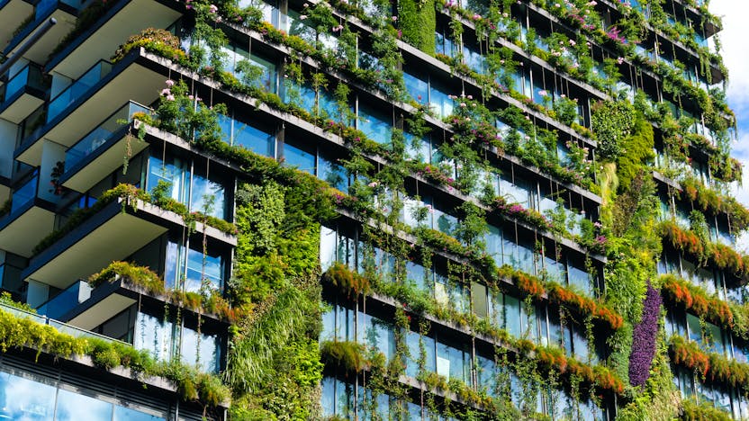 Urban, Greenery, Plants