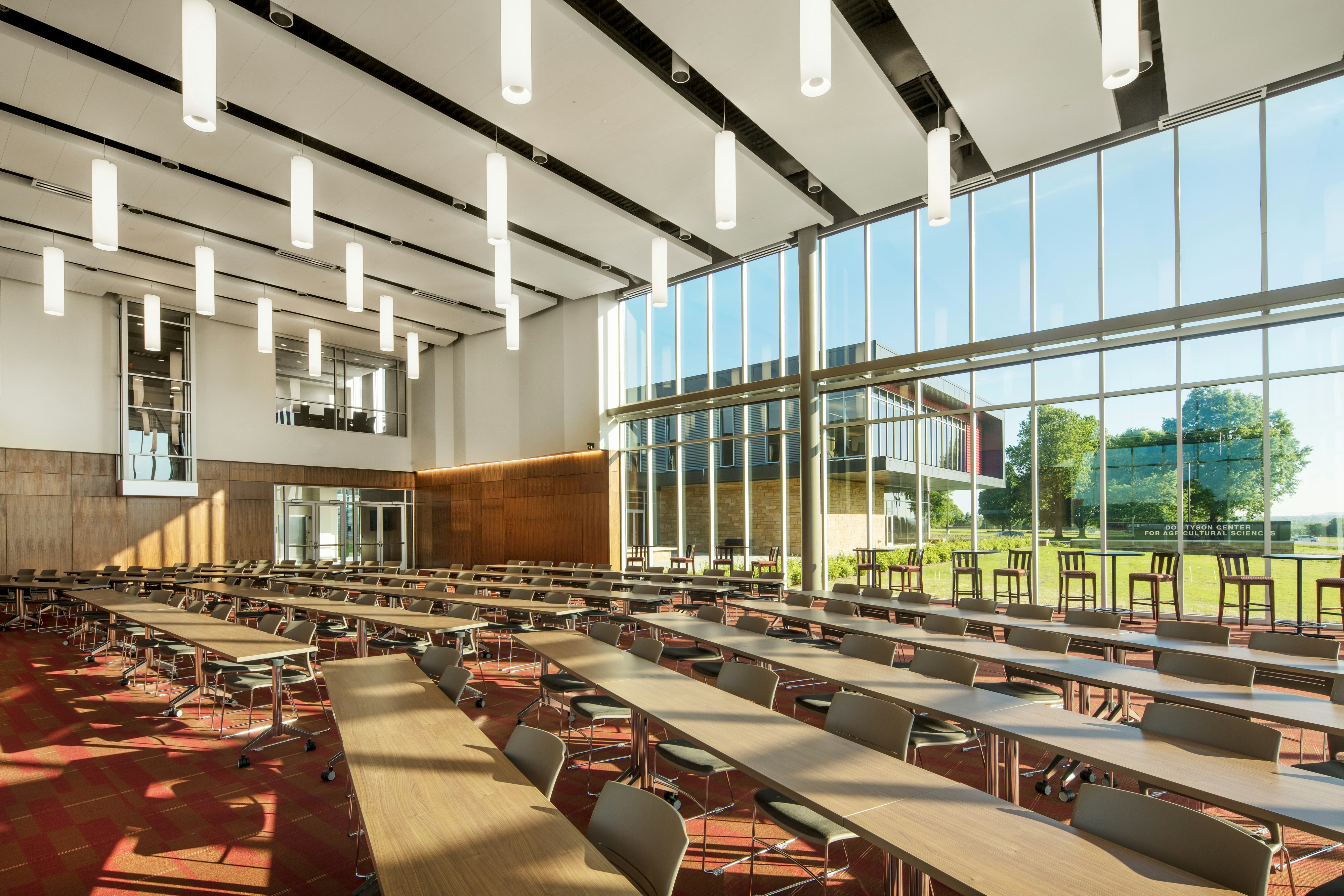 NA, Don Tyson Center for Agricultural Sciences, University of Arkansas, laboratory, classroom, 1200, suspension system, grid, Sonar, CDX, 2x4, 2x6, 2x8, planks, concealed, Infinity, perimeter trim
