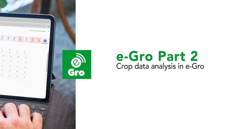 grodan, egro, video, analysis, crop registration
