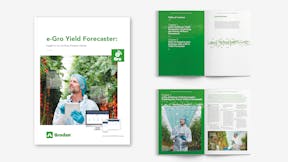whitepaper, visual, mockup, e-gro,  yield forecast