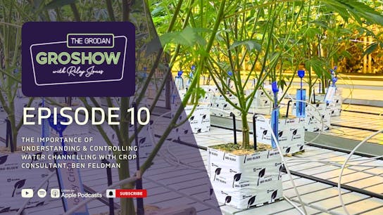 GroShow Podcast Header - Episode 10 with Ben Feldman