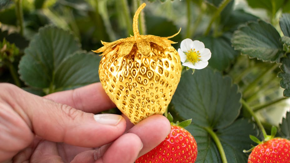 Golden strawberry