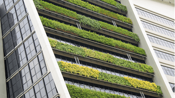vertical garden a concept of sustainable building, eco building landscape climbing plants