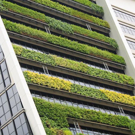 vertical garden a concept of sustainable building, eco building landscape climbing plants
